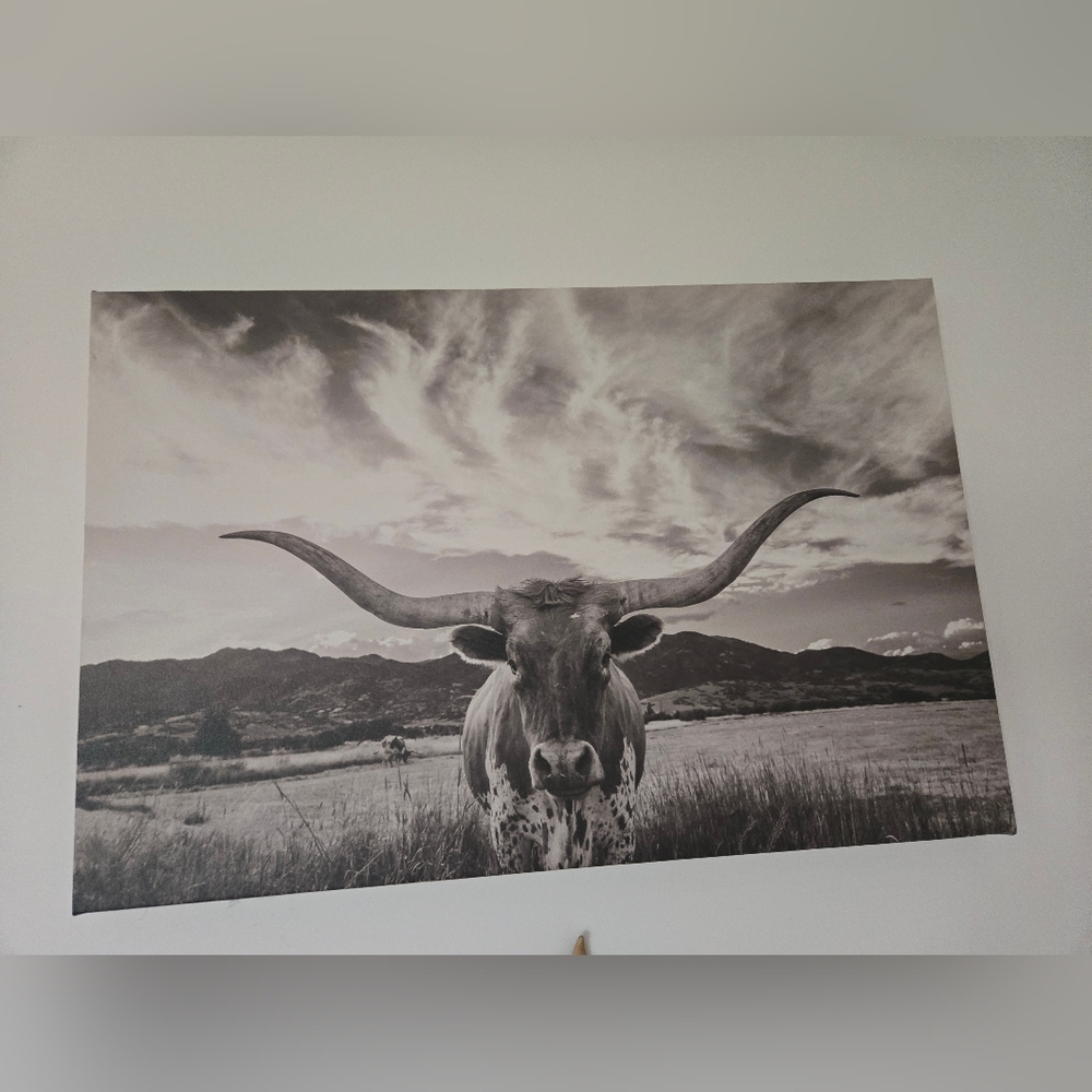 Black and White Longhorn Art Wall Decor